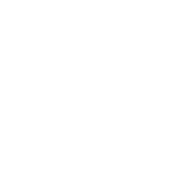 Capture icon
